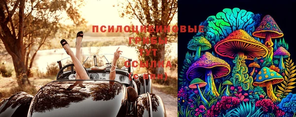 эйфоретик Аркадак